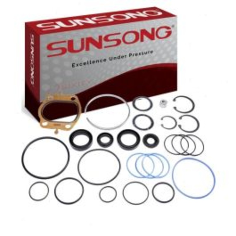Sunsong Steering Gear Seal Kit for 1995 Dodge B1500