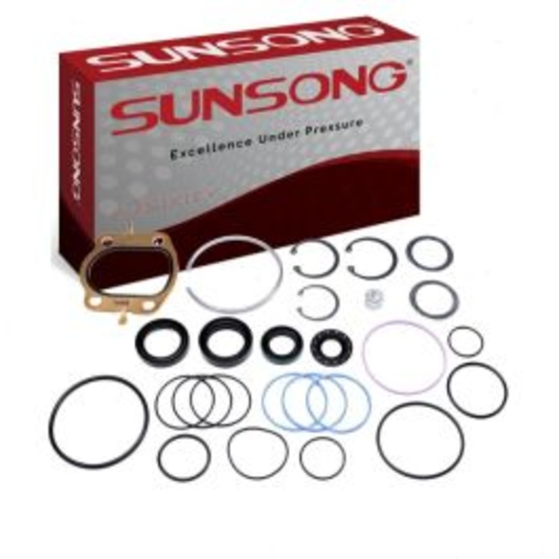 Sunsong Steering Gear Seal Kit for 1972-1976 Ford Torino