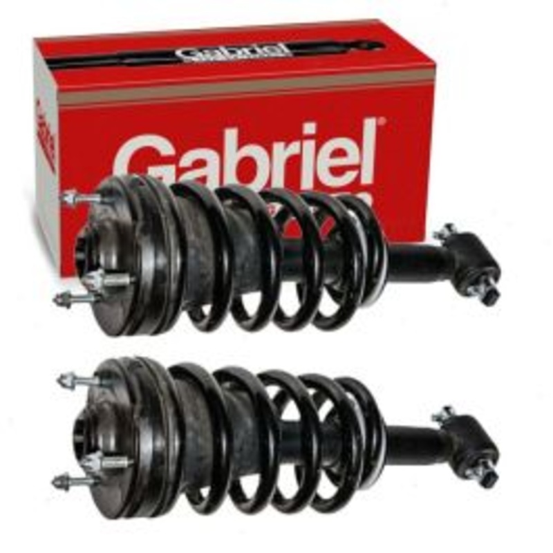 2 pc Gabriel ReadyMount G57125 Suspension Strut & Coil Springs