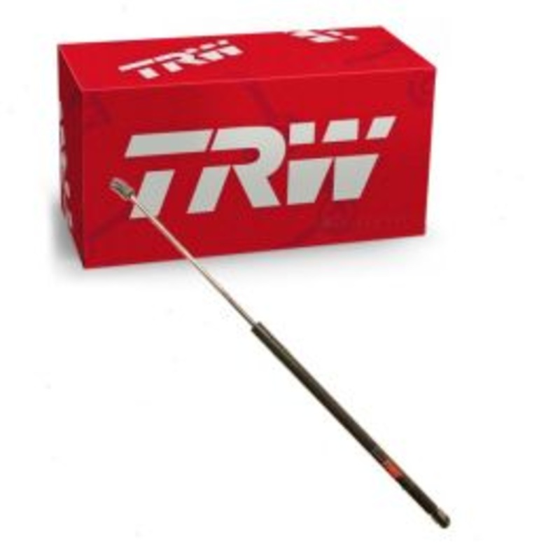 TRW Hood Lift Support for 2010-2017 Chevrolet Equinox 2.4L 3.0L 3.6L L4 V6
