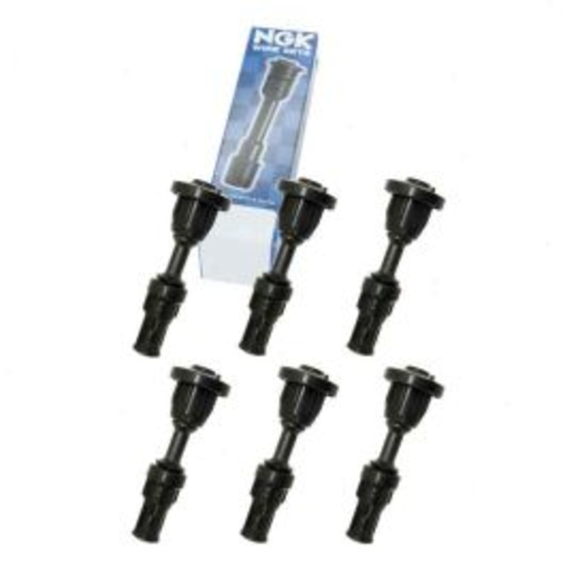 6 pc NGK 58916 Ignition Coil Boots