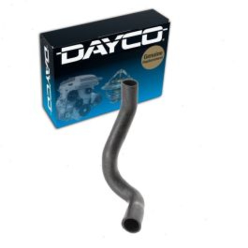 Dayco Lower Radiator Coolant Hose for 1981 Buick Century 5.7L V8