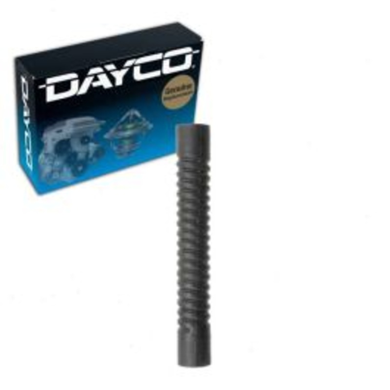 Dayco Lower Engine To Radiator Radiator Coolant Hose for 1979-1981 Audi 5000 2.0L 2.2L L5