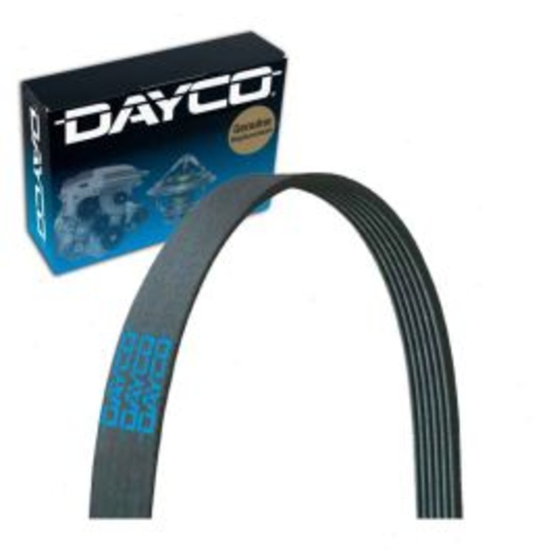 Dayco 5050755 Serpentine Belt