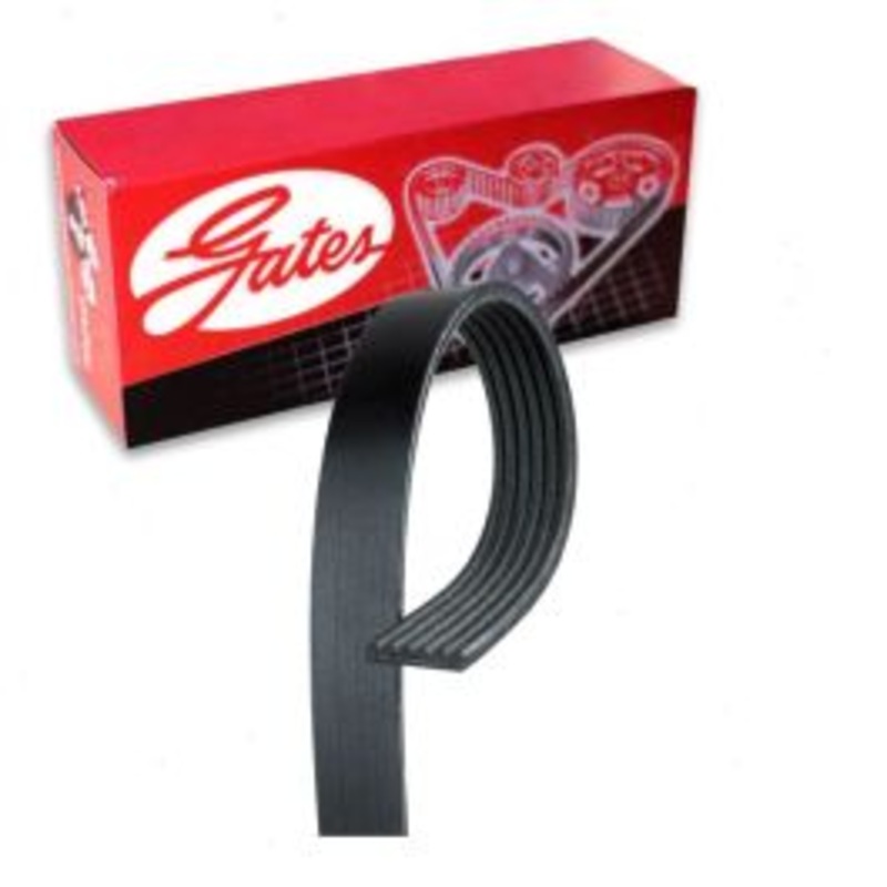 Gates Micro-V Serpentine Belt for 2010-2011 Ford E-250 4.6L 5.4L V8
