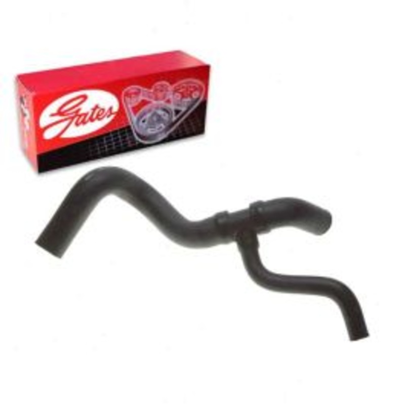 Gates Lower Radiator Coolant Hose for 2004 Ford F-150 Heritage 4.2L V6